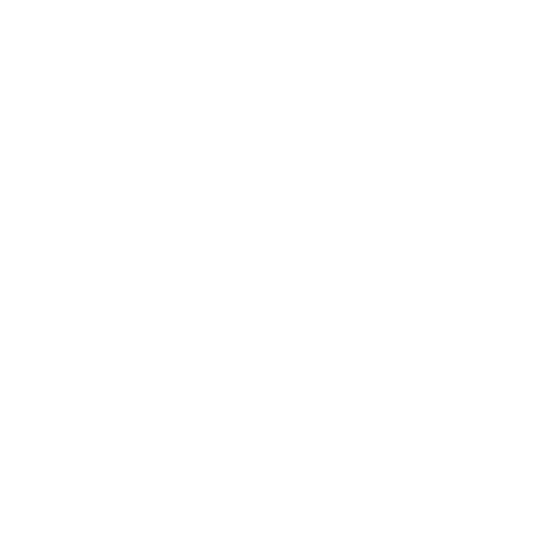 LOGOS VINCENT ROUX DIOR