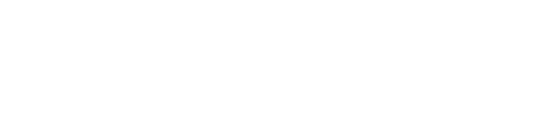 PUBLICIS-CONSEIL-LOGO