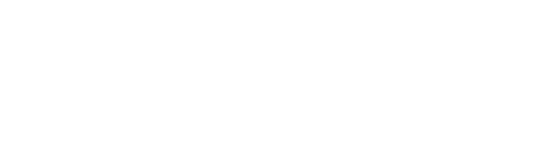 PUBLICIS-CONSULTANTS-LOGO